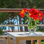 Agneza Guest house